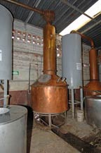 copper alambique used at agabe tequilana in los altos