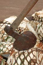 hacha - axe or hatchet used to harvest agave