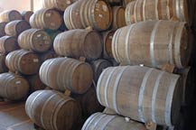 Oak barrels for aging tequila at Compania Tequilera Puerta de Hierro - Fabrica de Tequila